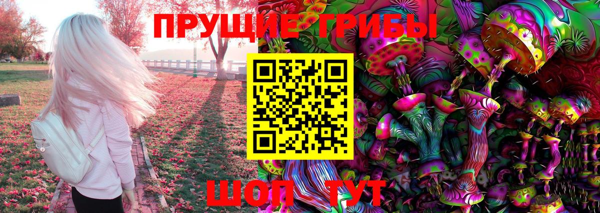 Галлюциногенные грибы Psilocybe Борисоглебск